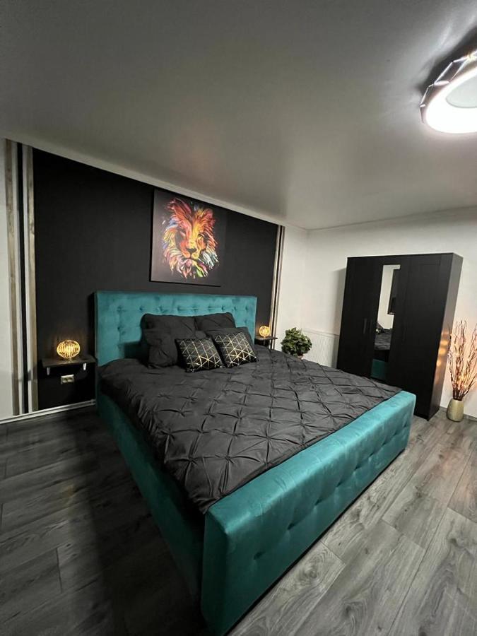 Luxor Ultra-Central Apartments Sibiu Extérieur photo